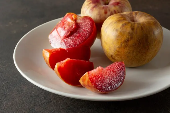 Pluot Flavor Supreme Demi tige Pot C15 litres ** Prunier/Abricotier. Fort prêt à produire **
