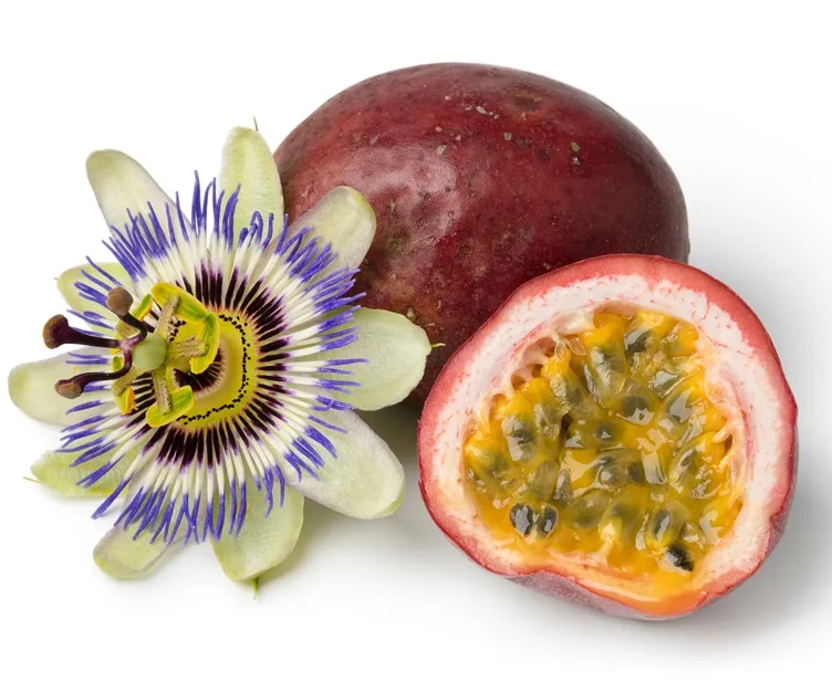 [139838] Passiflora Edulis Pot ** Fruits de la passion : variété fruitières à gros fruits **