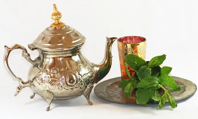 Mentha spicata Maroccan - MENTHE MAROCAINE C2 Touffe forte