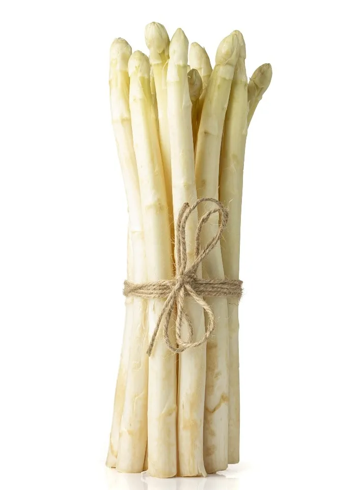 Asparagus officinalis Argenteuil Pot C1.5Litres ** Asperge  **