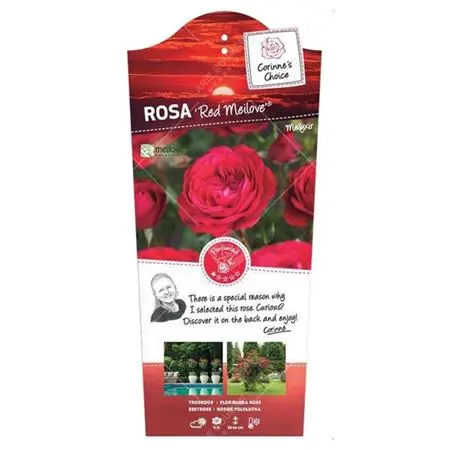 [118849] Rosier Meilove Red Pot C3