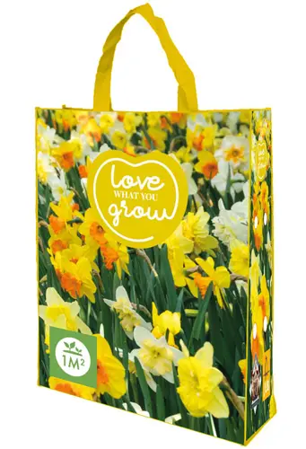 Narcisse mix * sac 25 pc cal.12/14