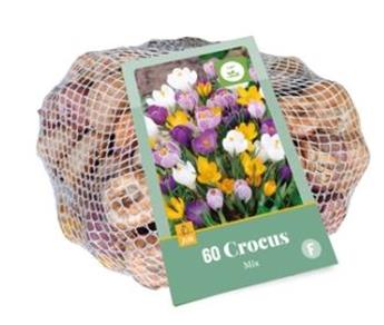 Crocus mix * 70 pc cal.7/8