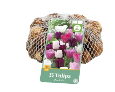 [130866] Tulipe pastel mix * sac 35 pc cal.11/+