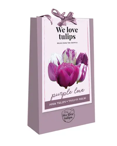 Tulipe sac 20 bulbes We Love Tulips Purple *  cal.11/12  ** Idée cadeau **