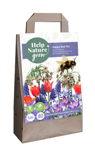 Bulbes sac 80 pc spécials abeilles Happy Bee Mix ** Idée cadeau **