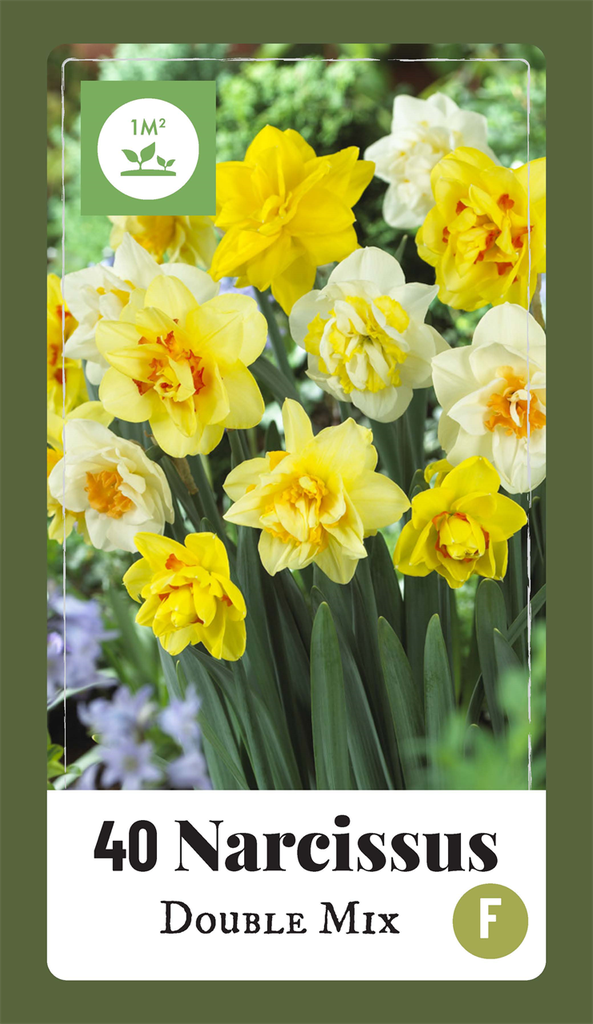 [135377] Narcisse double double mix  * 40 pc cal.10/12