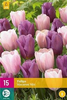 Tulipe macaron mix * 15 pc cal.11/12