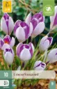 Crocus Vanguard * 10 pc cal.7/8