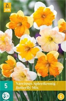 Narcisse butterfly mix * 5 pc cal.12/14