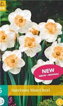 Narcisse Mon Cheri * 5 pc cal.12/14
