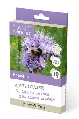 Phacelie 10 m² ** engrais vert **