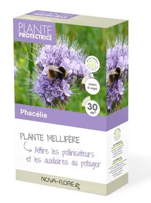 Phacelie 30 m² ** engrais vert **