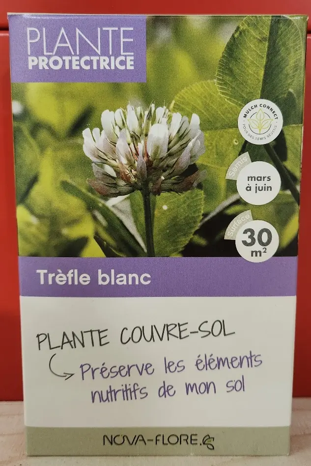 Trefle Blanc 30m² ** Engrais vert **