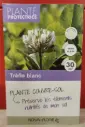 Trefle Blanc 30m² ** Engrais vert **