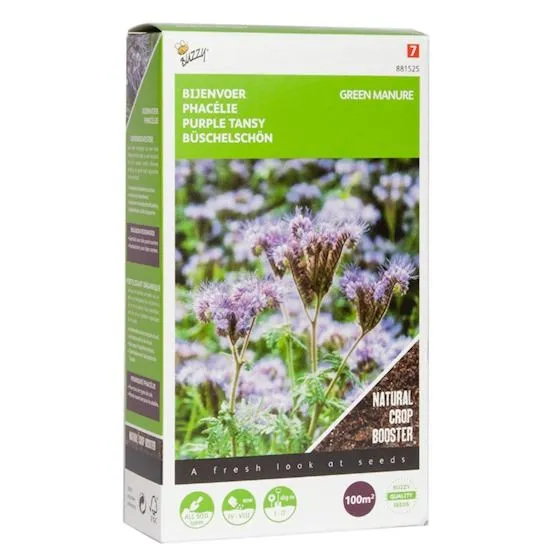 Phacelia engrais vert à semer 100 gr Buzzy