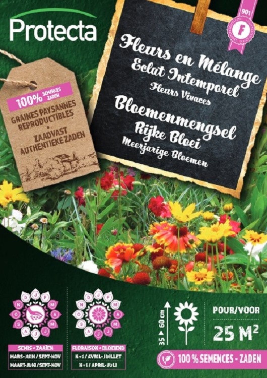 Mélange de fleurs Eclat Vivace 25 m² ( Protecta F )