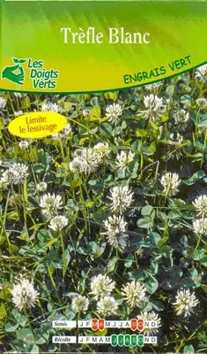 Trefle blanc Nain 500 gr ** Engrais vert **