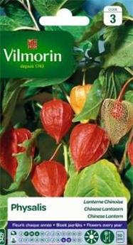 Physalis Lanterne Chinoise  (Vilm)