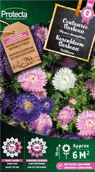Centaurée Barbeau mélange ( Protecta C )