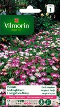 Ficoïde Tapis Magique varié ( Protecta C )