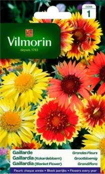 Gaillarde vivace ( Protecta C )