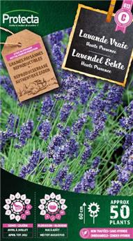 Lavande Vraie ( Protecta C )