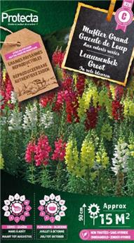 Muflier Grand Gueule de Loup ( Protecta C )