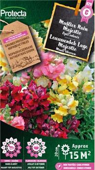 Muflier nain Majestic ( Protecta C )