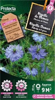 Nigelle de Damas ( Protecta C )