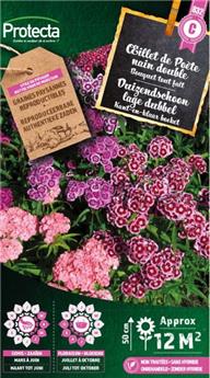 [142541] Oeillet de Poète nain double Bouquet tout Fait ( Protecta C )