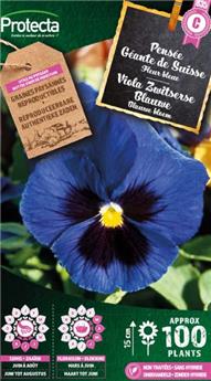 Pensée Suisse Bleue ( Protecta C )