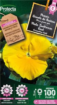 Pensée Suisse Jaune Pur ( Protecta C )