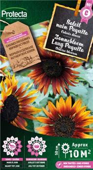 Soleil nain Paquito mélange ( Protecta C )