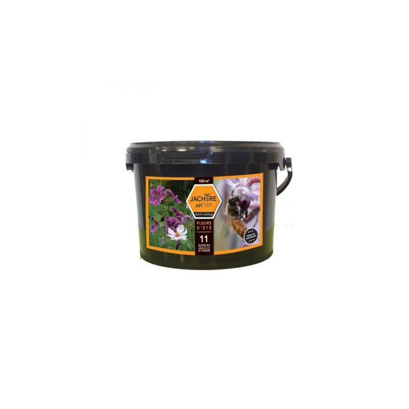 Fleurs d´été Jachere mellifère 100 M²