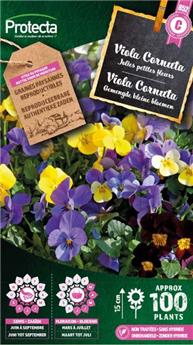 [142554] Viola Cornuta mélange  ( Protecta C )