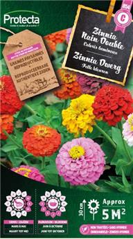 Zinnia Nain Double ( Protecta C )
