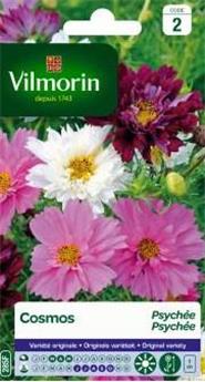 Cosmos Psyche Varié  (Vilm)