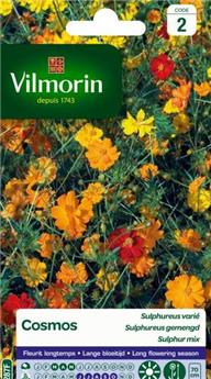 Cosmos Sulphureus Varié  (Vilm)