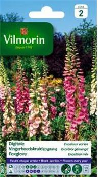 Digitale Excelsior Variée  (Vilm)