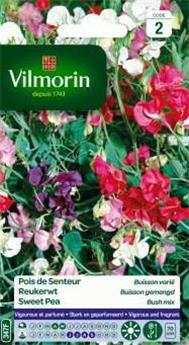 Pois De Senteur Buisson Varié (Vilm)