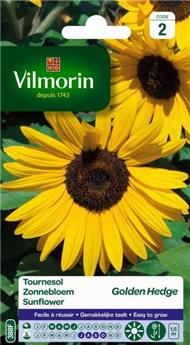 Soleil Golden Hedge (Vilm)