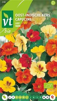 Capucine Naine (*) BIO (VT)