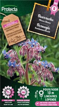 Bourrache ( Protecta B )