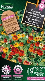 Capucine Grande simple de Lobb varié ( Protecta B )