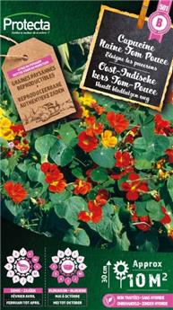 Capucine naine tom pouce simple varié ( Protecta B )