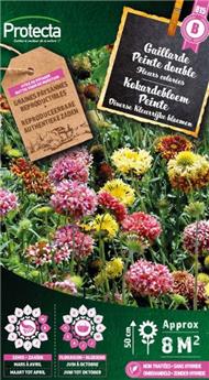 Gaillarde Peinte double variée ( Protecta B )