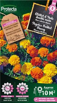 Oeillet d´Inde double nain varié ( Protecta B )