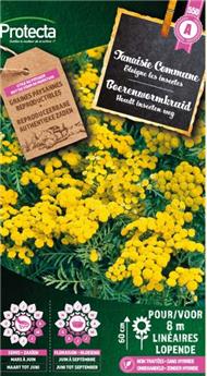 Tanaisie Commune graines ( Protecta A )