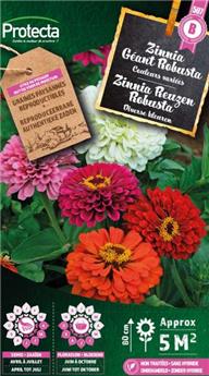Zinnia Géant Robusta en mélange ( Protecta B )